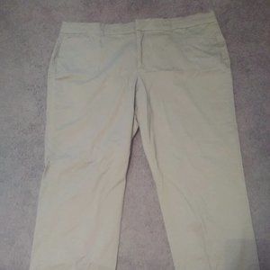 JM Collection Woman's Tan Pants size 22 30" L